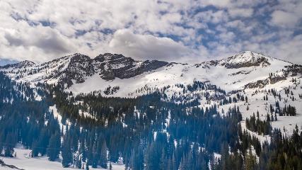 Alta: Alta (alta.com)