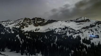 Alta: Alta (alta.com)