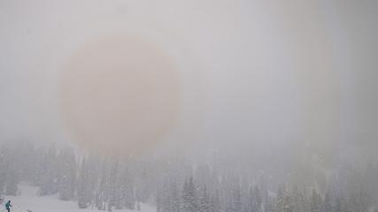 Alta: Alta (alta.com)