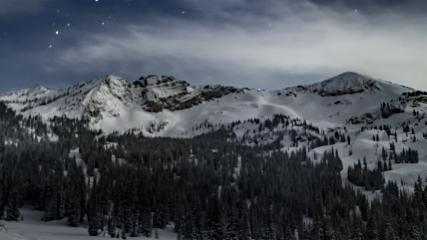 Alta: Alta (alta.com)