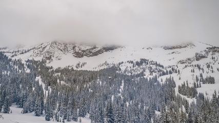 Alta: Alta (alta.com)