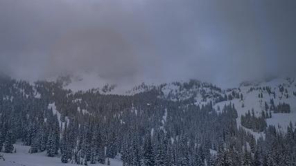 Alta: Alta (alta.com)