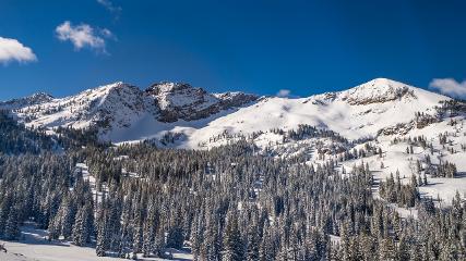 Alta: Alta (alta.com)