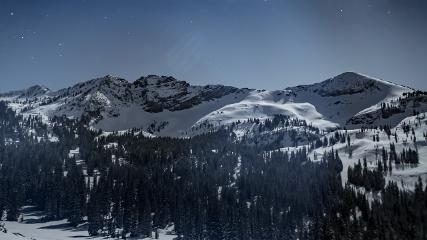 Alta: Alta (alta.com)