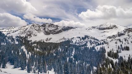 Alta: Alta (alta.com)