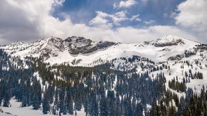 Alta: Alta (alta.com)