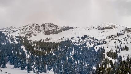 Alta: Alta (alta.com)