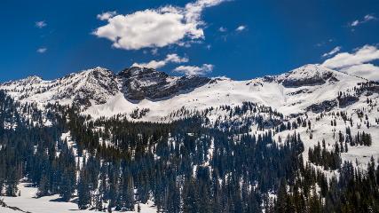 Alta: Alta (alta.com)