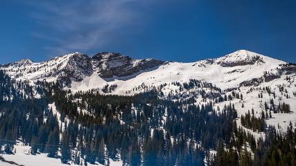 Alta: Alta (alta.com)