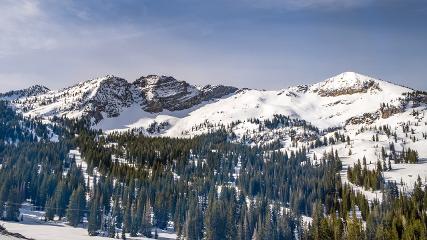 Alta: Alta (alta.com)