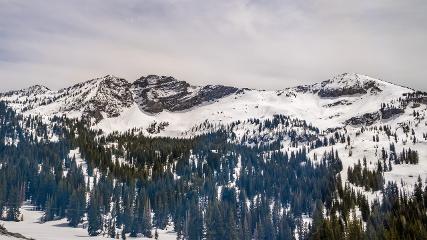 Alta: Alta (alta.com)