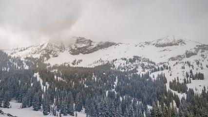 Alta webcam