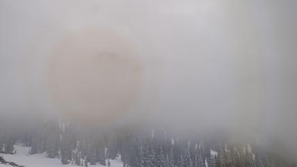 Alta: Alta (alta.com)