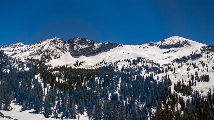Alta: Alta (alta.com)