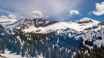 Alta: Alta (alta.com)