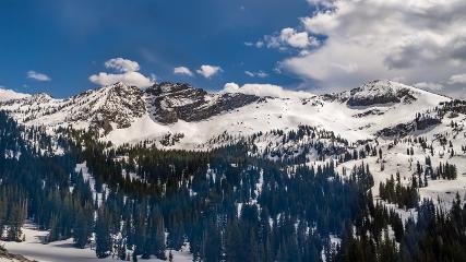 Alta webcam