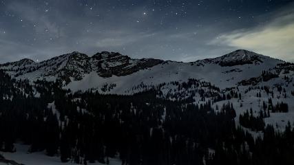 Alta: Alta (alta.com)