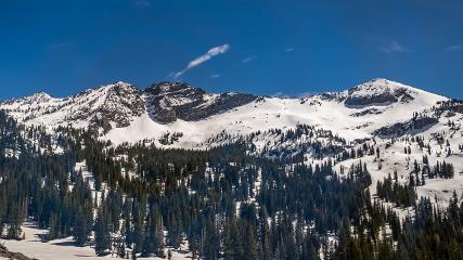 Alta: Alta (alta.com)