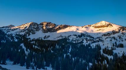 Alta webcam
