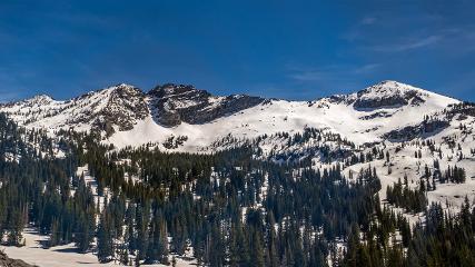 Alta: Alta (alta.com)