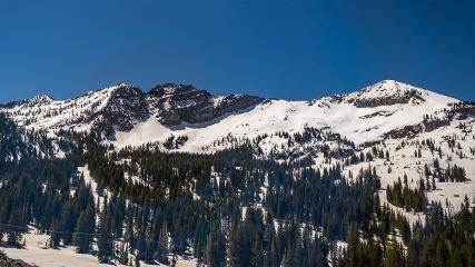 Alta: Alta (alta.com)