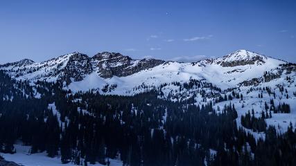 Alta webcam