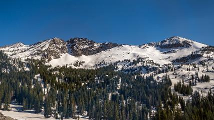 Alta: Alta (alta.com)