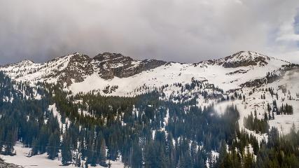 Alta: Alta (alta.com)