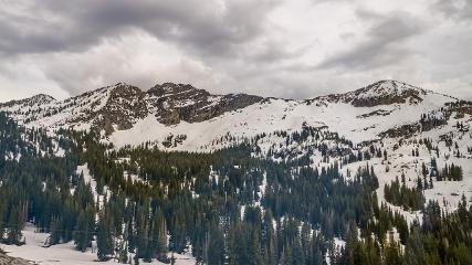 Alta: Alta (alta.com)