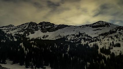 Alta: Alta (alta.com)