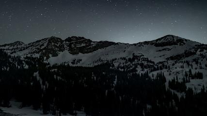 Alta: Alta (alta.com)