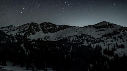 Alta: Alta (alta.com)