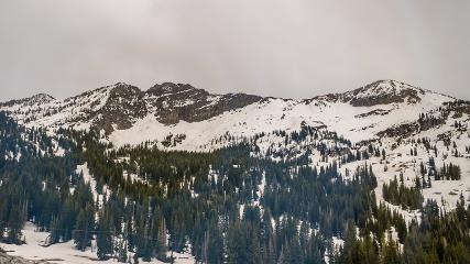 Alta: Alta (alta.com)