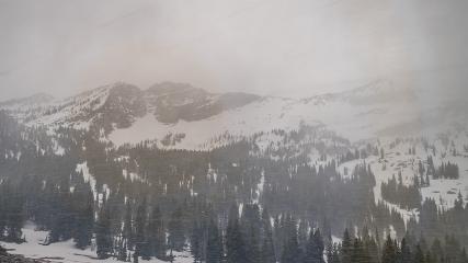 Alta: Alta (alta.com)