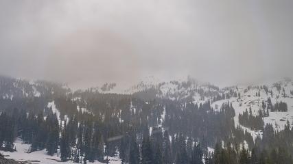 Alta: Alta (alta.com)