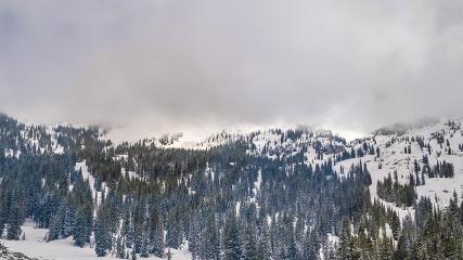 Alta: Alta (alta.com)