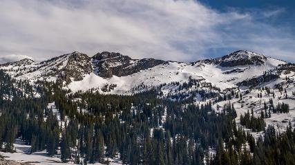 Alta: Alta (alta.com)