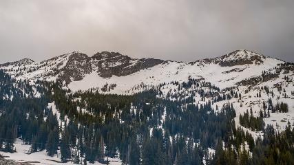 Alta: Alta (alta.com)