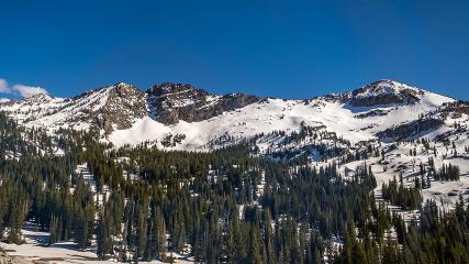 Alta: Alta (alta.com)