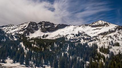 Alta: Alta (alta.com)