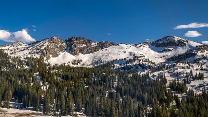 Alta: Alta (alta.com)