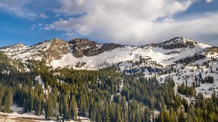Alta: Alta (alta.com)