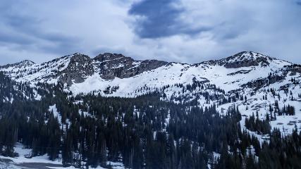 Alta: Alta (alta.com)