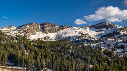 Alta webcam