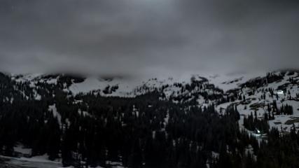 Alta: Alta (alta.com)