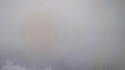 Alta webcam