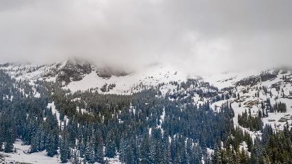 Alta: Alta (alta.com)