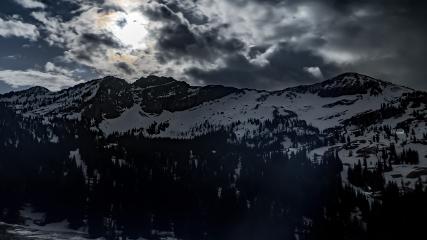 Alta: Alta (alta.com)