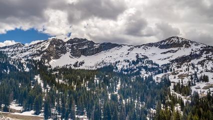 Alta: Alta (alta.com)