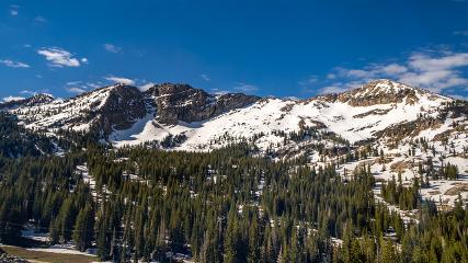 Alta webcam